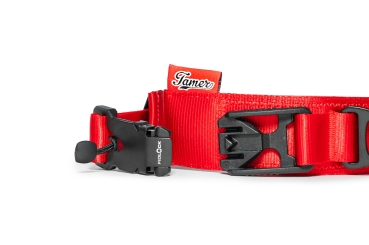 Preview: Halsband Fidlock®-Magnetverschluss mit Griff - rot